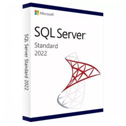 SQL Server Standard Edition 2022 English OEM OLC