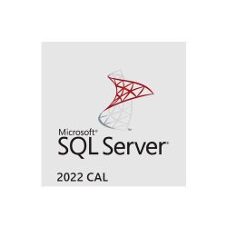 SQL 2022 CAL English OEM OLC 1 Clt User CAL