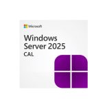 Windows Server CAL 2025 English OEM OLC 100 Clt Device CAL