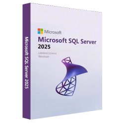   SQL Server Standard Core 2025 English OEM OLC No Media/No Key 2 Core Addtl Lic